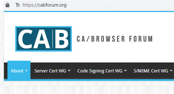 Website security needs to be Visible